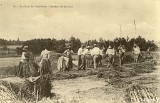 Environs de Plombières. - Batteurs de Sarrasin